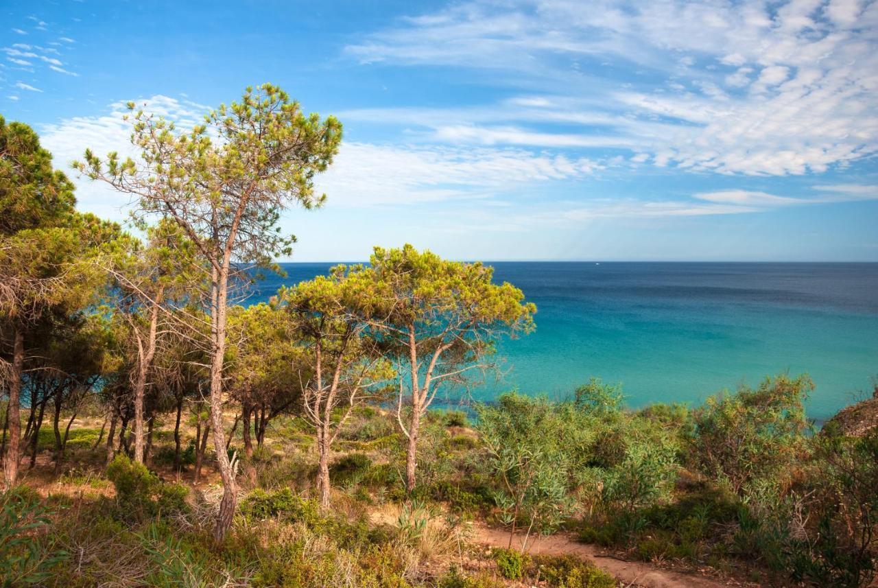 Baia Delle Palme Beach Santa Margherita di Pula Eksteriør billede